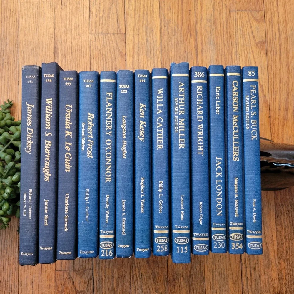 13 Book Set Blue Twaynes United States Authors Series Hardcover Vintage Decor